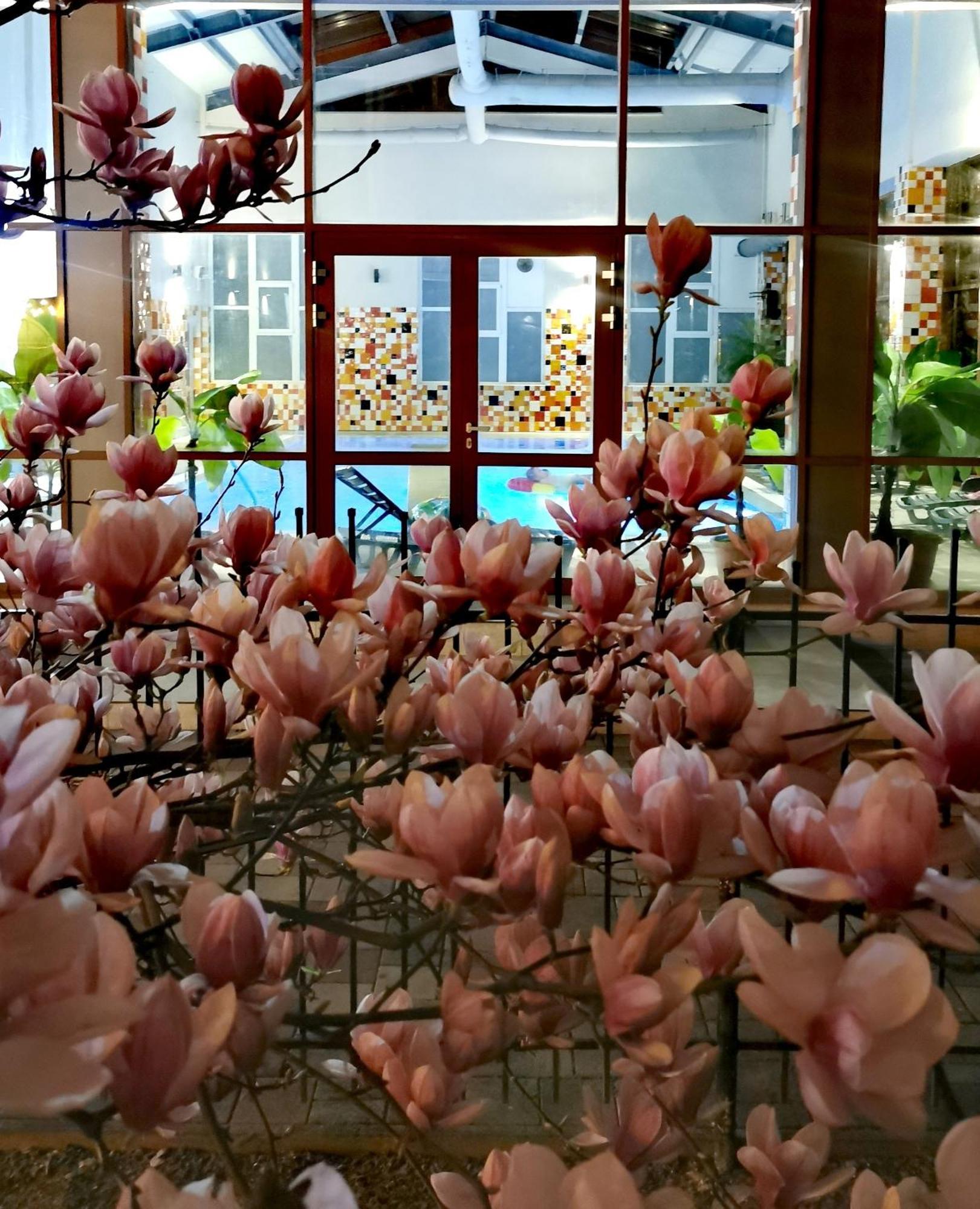 Hotel Metropol Băile Felix Zewnętrze zdjęcie